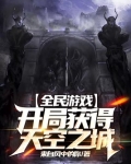 全民游戏开局签到天空之城