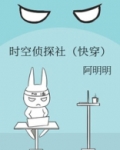 时空侦探社小说