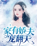家有娇夫宠翻天