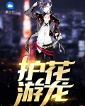 护花小游龙卧龙生