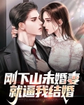 都市小说下山找未婚妻