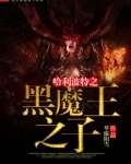 哈利波特之黑魔之子笔趣阁