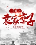 三国之袁家庶子百度百科