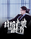 给老婆当保镖的小说