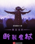 黑亚当的断裂魔杖讲的啥
