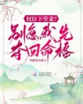 权臣下堂妻别急我先夺回命格笔趣阁