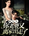 顾先生，你老婆又离家出走了