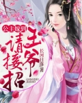 公主嫁到王爷请接招人物表