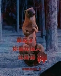 人皮娘子