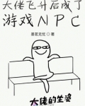 飞升大佬穿书后txt