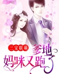 三宝联萌:爹地宠妻超给力作者墨墨水田