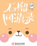 石榴游戏网