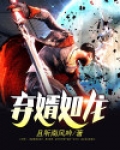 弃婿如龙