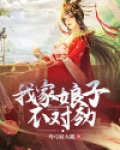 我家娘子不对劲