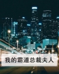 我的霸道总裁夫人