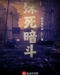 殊死暗斗