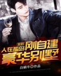 签到,人在孤岛,刚自建豪华别墅 第1374章