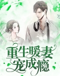 重生暖妻宠成瘾