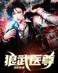 医武上尊全文免费阅读