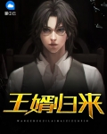 王婿归来叶辰