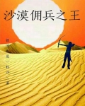 沙漠佣兵之王小说