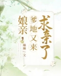娘亲,爹爹又闯祸了!