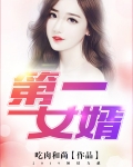 第一女婿杨没
