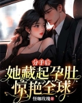 分手后女主怀孕的小说