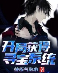 开局获得寻宝系统