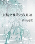 红楼梦之谁敢动我儿砸