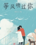 等风吻你短剧免费观看