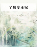 丫鬟王妃小说