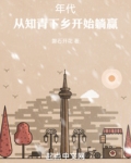 6070年代知青下乡电视剧
