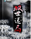 双世界小说