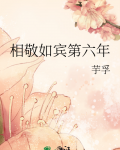 相敬如宾第六年作者:芋孚