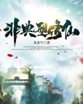非典型修仙什么意思