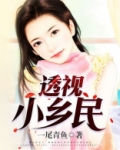 透视小乡民陈长风全文免费阅读