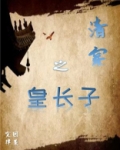 清穿之皇长子