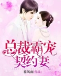陆先生的小甜妻