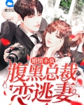婚情不负:腹黑总裁恋逃妻TXT下载