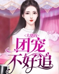 重生这个大佬不好追