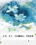 王爷和太子的小说
