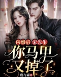 闪婚萌妻太甜人宋乔乔免费阅读