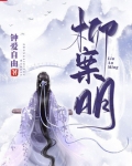 柳案明 小说
