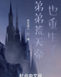 弟弟荒天帝也重生了 苍生道人