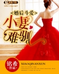 婚后斗爱之小妻难驯 小说