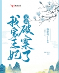 我家王妃又去破案了