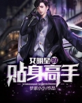 女明星贴身保镖百度百科