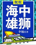 舰艇:海中雄狮 小说