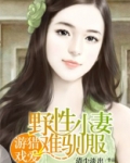 野性难驯小贼妃